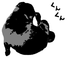 black pug Stickers 3 sticker #9171063