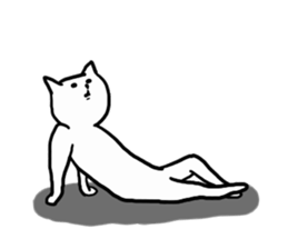 Mr.MiyaoNekono sticker #9171941