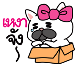 PAENG RUM French Bulldog happy every day sticker #9174071