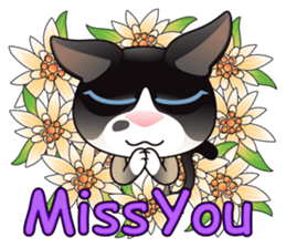 Snowshoe Cat Lumang -Let's Party!! sticker #9180842