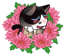 Snowshoe Cat Lumang -Let's Party!! sticker #9180850