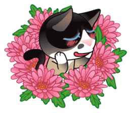Snowshoe Cat Lumang -Let's Party!! sticker #9180850