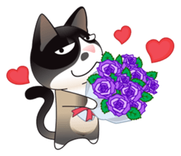 Snowshoe Cat Lumang -Let's Party!! sticker #9180854