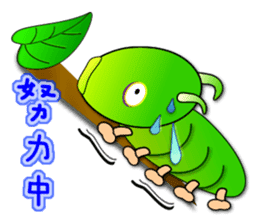 Mao Bao family - " Winter articles " sticker #9181763