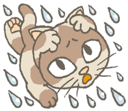 Cat / Chat 5 English ver. sticker #9182730