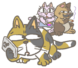 Cat / Chat 5 English ver. sticker #9182741