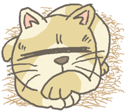 Cat / Chat 5 English ver. sticker #9182755