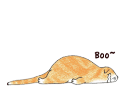 Jaffa Cat sticker #9183362