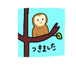 Owls hoot sticker #9184644