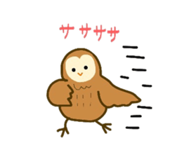 Owls hoot sticker #9184655