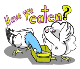 fantail pigeon sticker #9186779