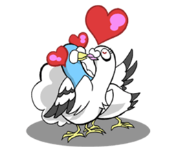 fantail pigeon sticker #9186785