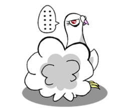 fantail pigeon sticker #9186794