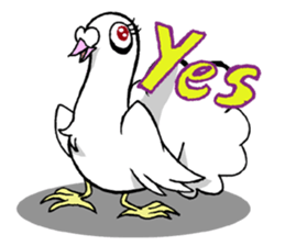 fantail pigeon sticker #9186798