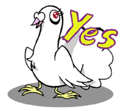 fantail pigeon sticker #9186798