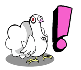 fantail pigeon sticker #9186811