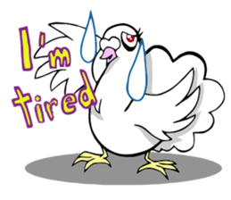 fantail pigeon sticker #9186815