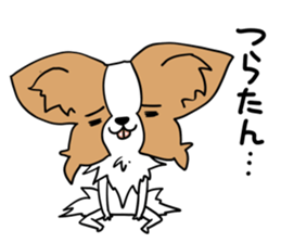 Fluffy of the Papillon. sticker #9188433