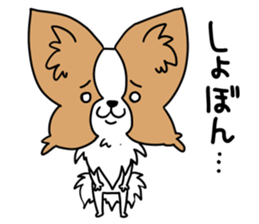 Fluffy of the Papillon. sticker #9188443
