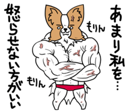 Fluffy of the Papillon. sticker #9188448