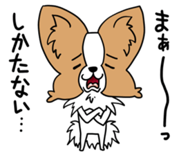 Fluffy of the Papillon. sticker #9188449