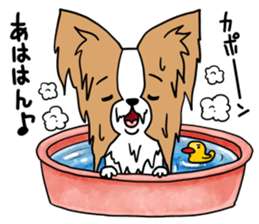 Fluffy of the Papillon. sticker #9188453