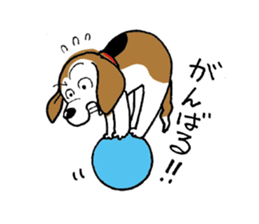 I'm RINGO! sticker #9188683