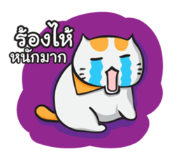 Kingkongcats 2 sticker #9189306