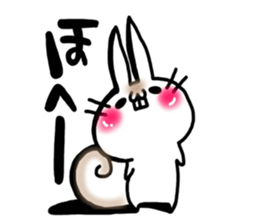 USARIRisu sticker #9193119