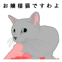 Rial system young lady cat