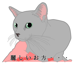 Rial system young lady cat sticker #9193217