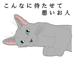 Rial system young lady cat sticker #9193219