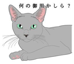 Rial system young lady cat sticker #9193221