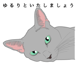 Rial system young lady cat sticker #9193222