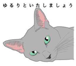 Rial system young lady cat sticker #9193222