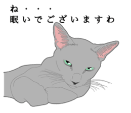 Rial system young lady cat sticker #9193223