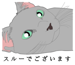 Rial system young lady cat sticker #9193224