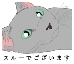 Rial system young lady cat sticker #9193224