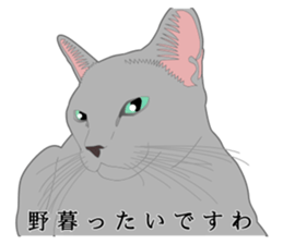 Rial system young lady cat sticker #9193226