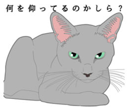 Rial system young lady cat sticker #9193227