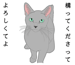 Rial system young lady cat sticker #9193228