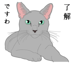 Rial system young lady cat sticker #9193229