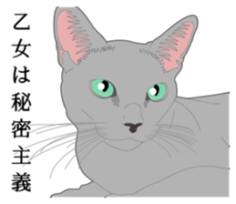 Rial system young lady cat sticker #9193231