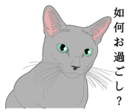 Rial system young lady cat sticker #9193232