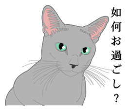 Rial system young lady cat sticker #9193232