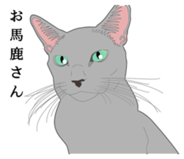 Rial system young lady cat sticker #9193233