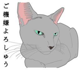 Rial system young lady cat sticker #9193234