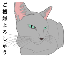 Rial system young lady cat sticker #9193234