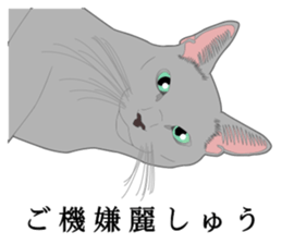 Rial system young lady cat sticker #9193235