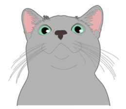 Rial system young lady cat sticker #9193236